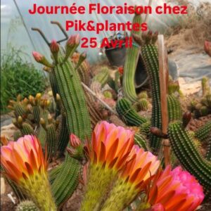 Journée floraison 26